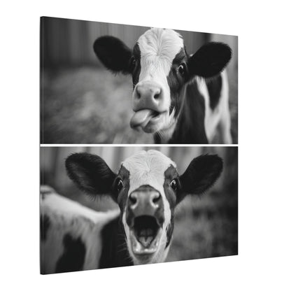 Whimsical Cow Photography | Black and White Animal Art