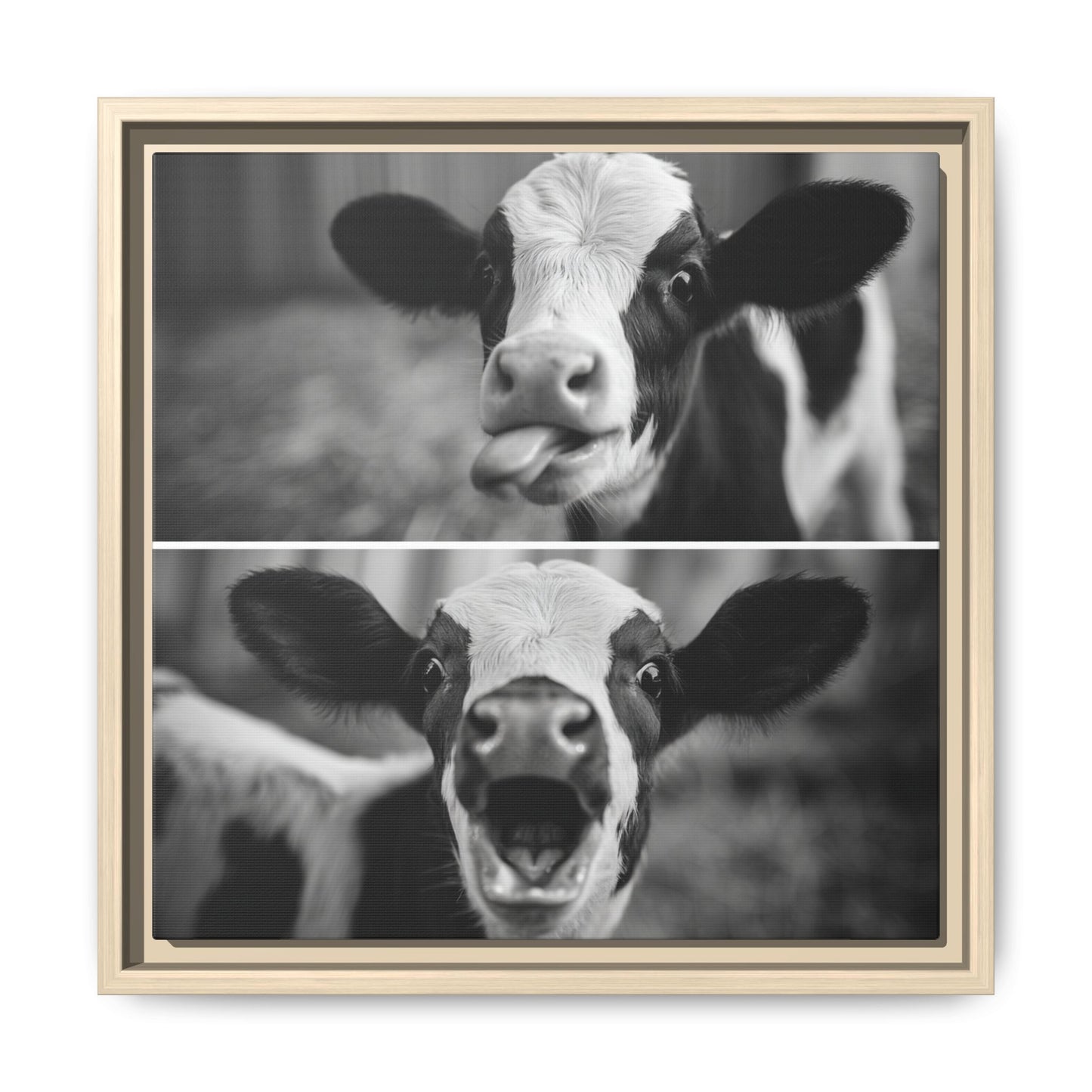 Whimsical Cow Photography | Black and White Animal Art