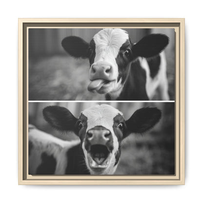 Whimsical Cow Photography | Black and White Animal Art