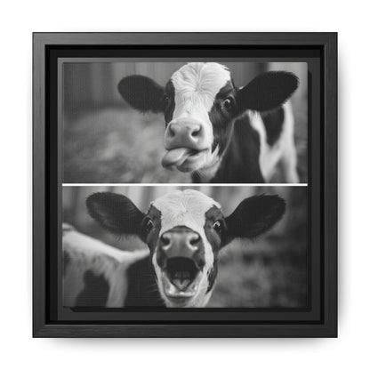 Whimsical Cow Photography | Black and White Animal Art