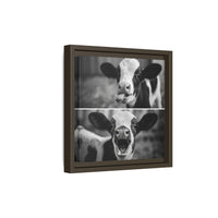 Whimsical Cow Photography | Black and White Animal Art