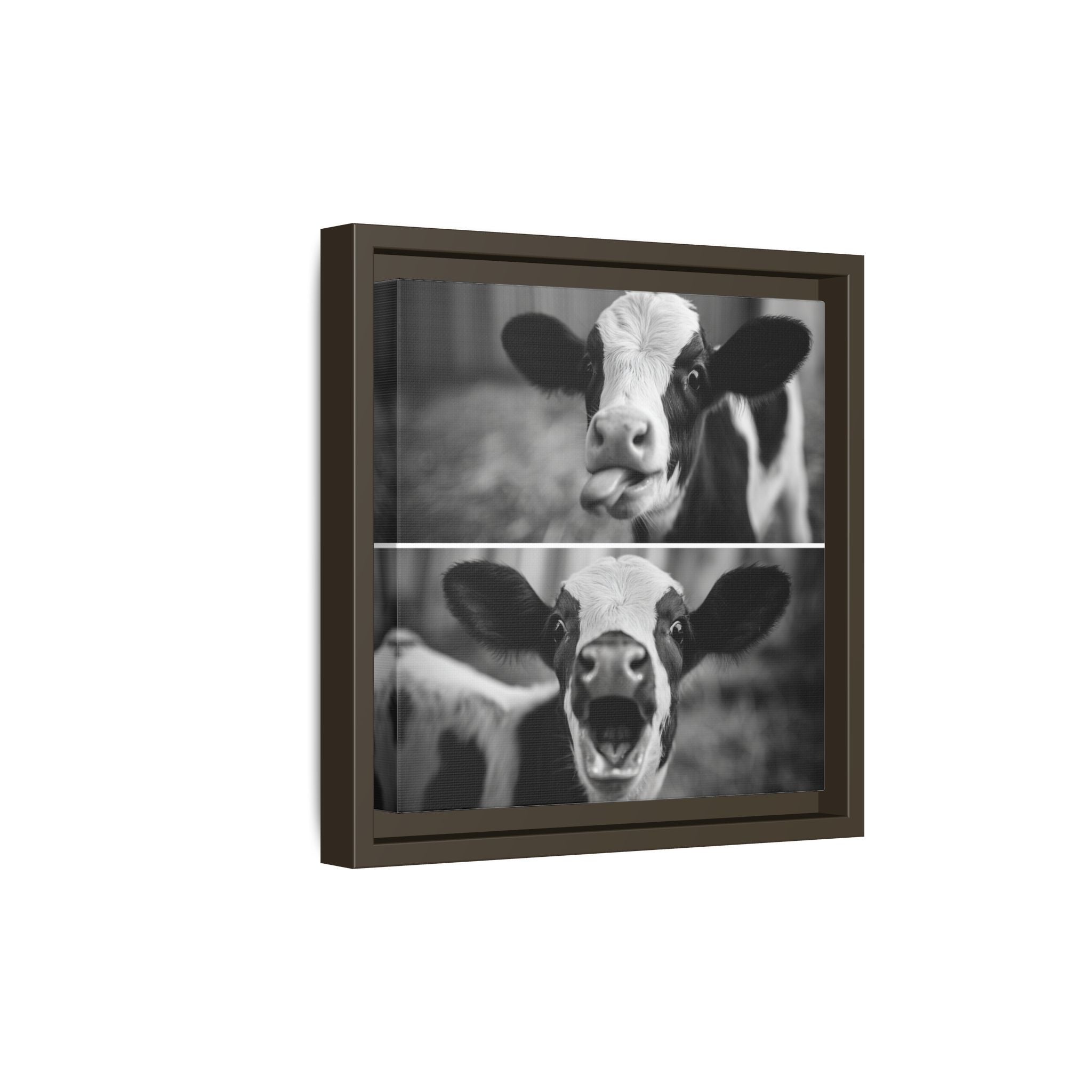 Whimsical Cow Photography | Black and White Animal Art