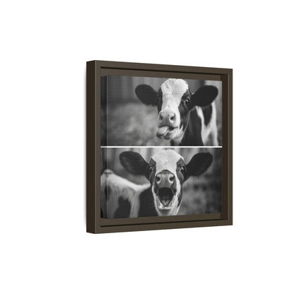 Whimsical Cow Photography | Black and White Animal Art