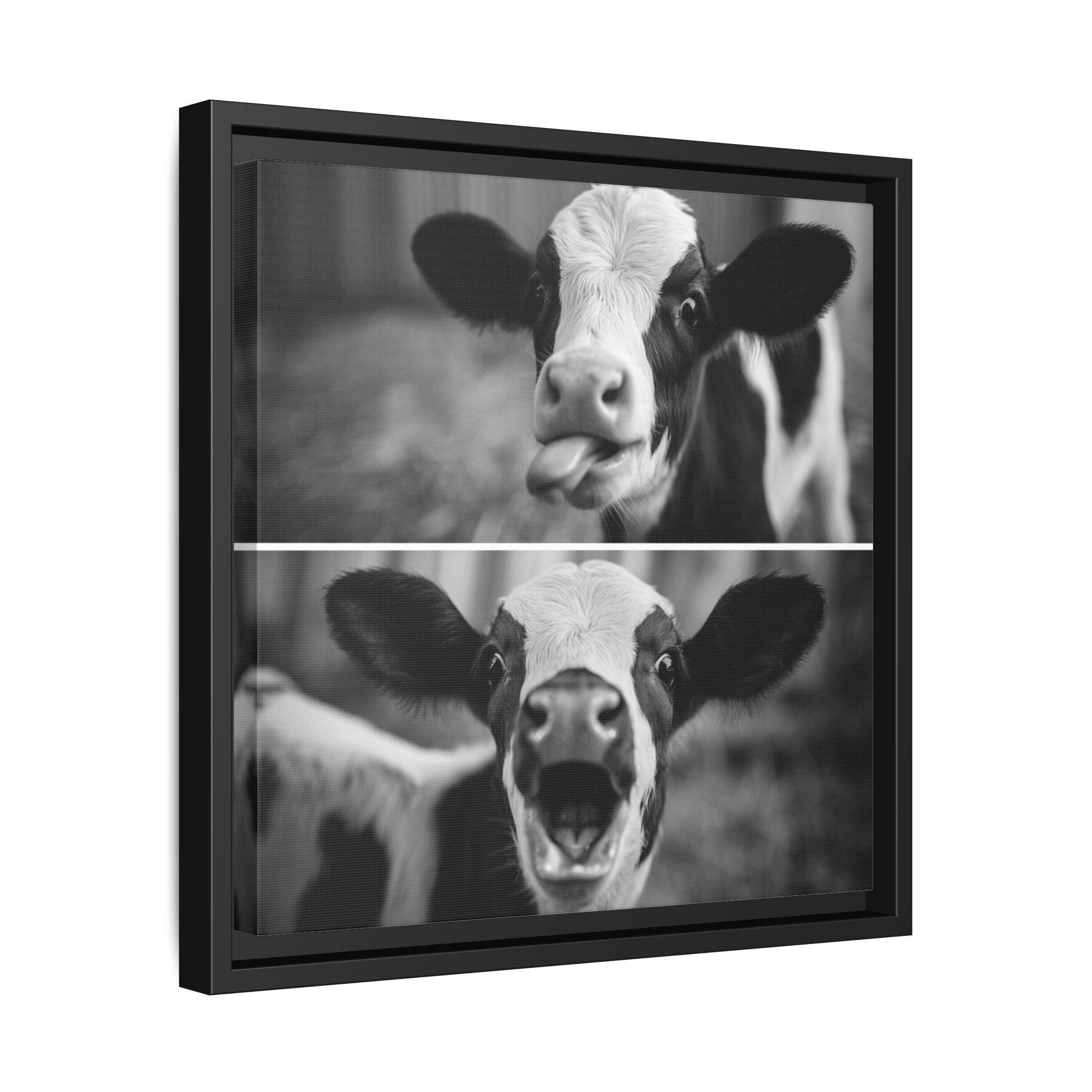Whimsical Cow Photography | Black and White Animal Art