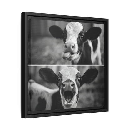 Whimsical Cow Photography | Black and White Animal Art
