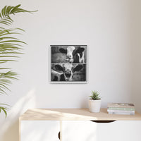 Whimsical Cow Photography | Black and White Animal Art