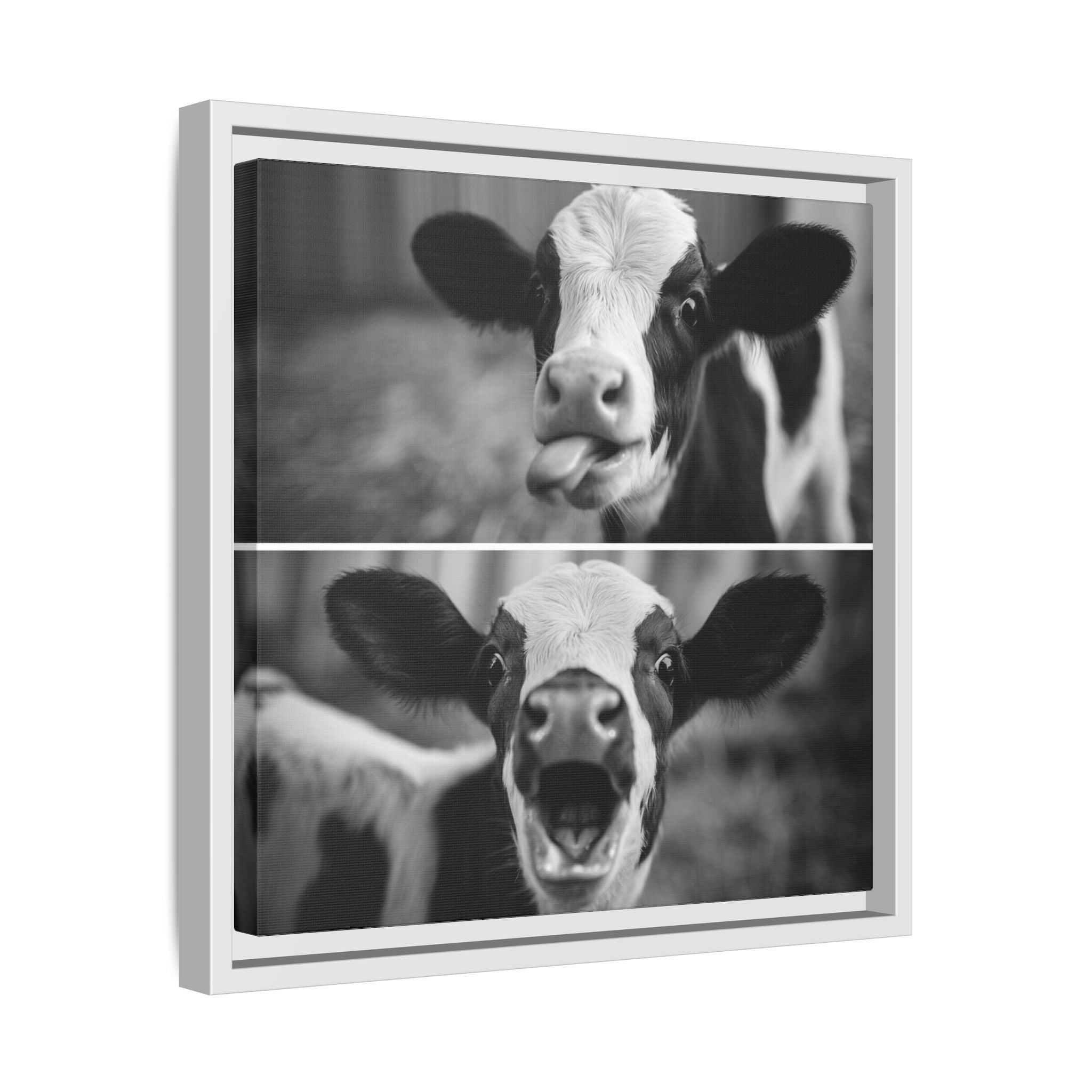 Whimsical Cow Photography | Black and White Animal Art