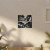 Whimsical Cow Photography | Black and White Animal Art