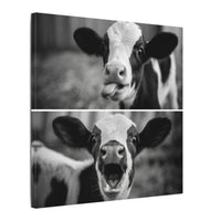 Whimsical Cow Photography | Black and White Animal Art