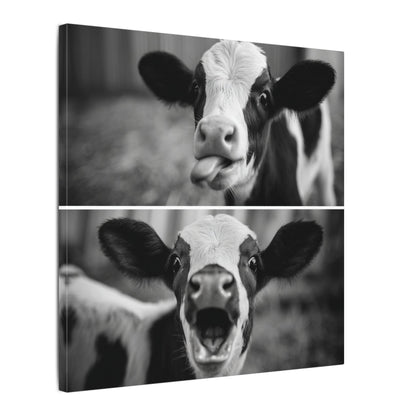 Whimsical Cow Photography | Black and White Animal Art