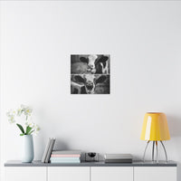 Whimsical Cow Photography | Black and White Animal Art