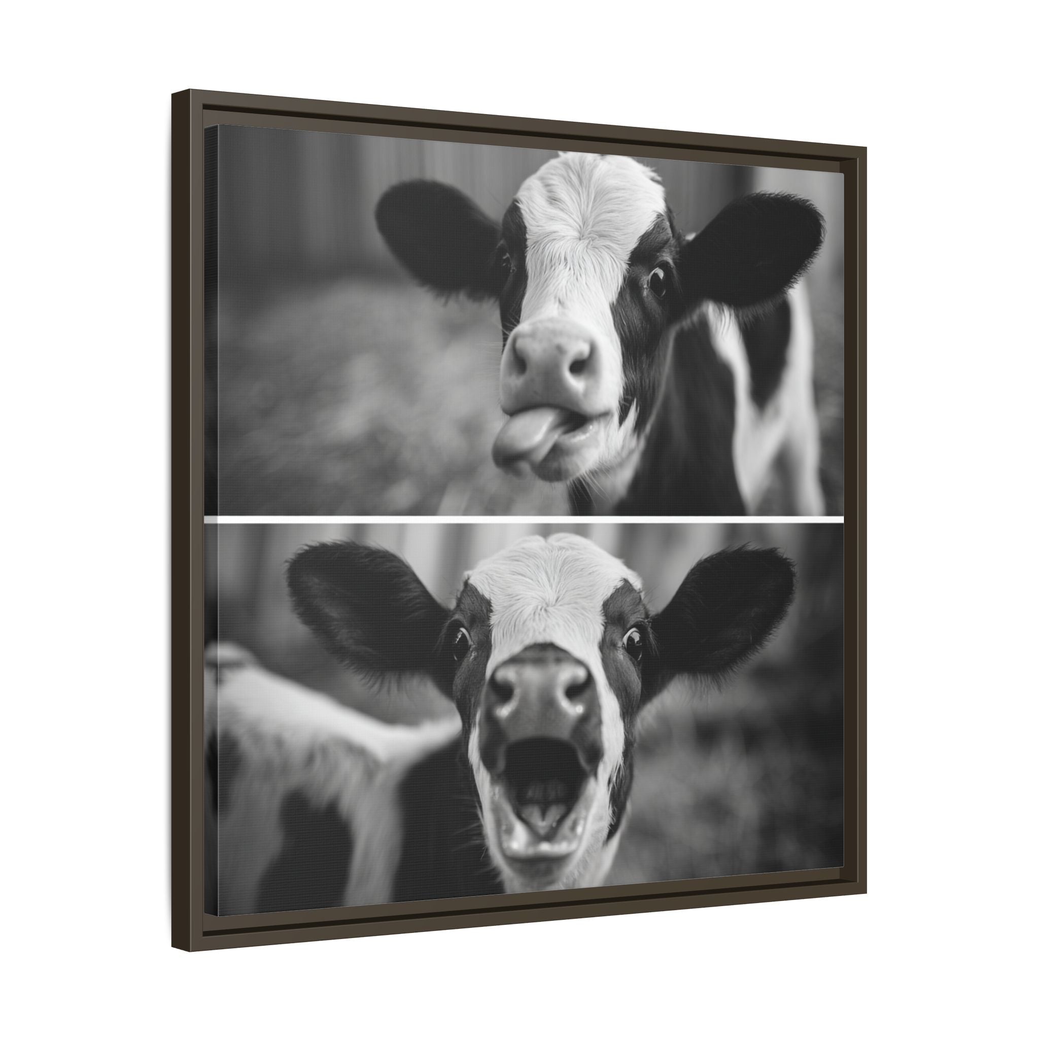 Whimsical Cow Photography | Black and White Animal Art