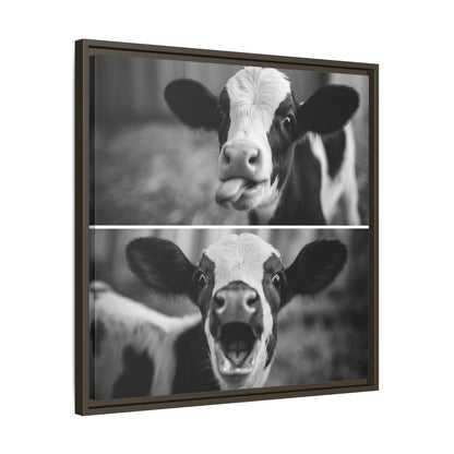 Whimsical Cow Photography | Black and White Animal Art