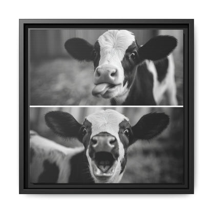 Whimsical Cow Photography | Black and White Animal Art