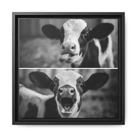 Whimsical Cow Photography | Black and White Animal Art