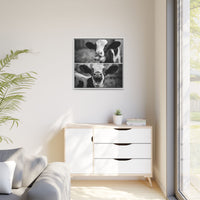 Whimsical Cow Photography | Black and White Animal Art