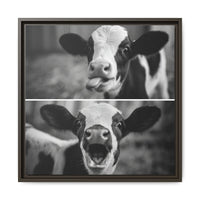 Whimsical Cow Photography | Black and White Animal Art