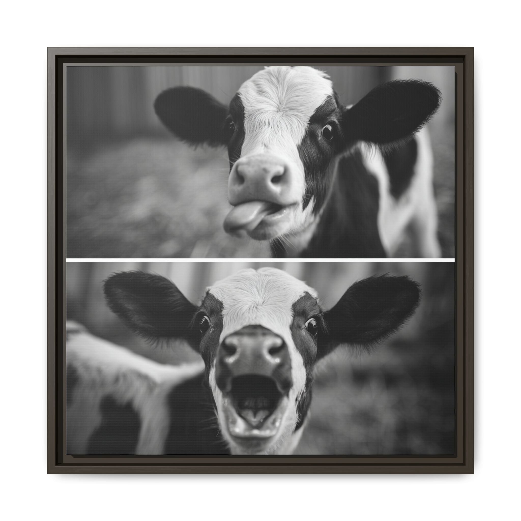 Whimsical Cow Photography | Black and White Animal Art