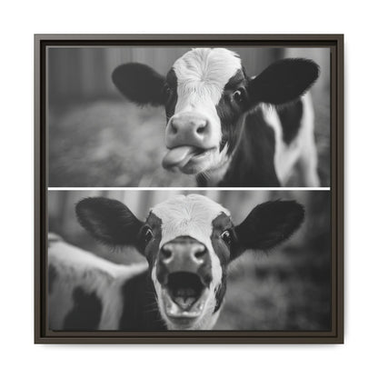 Whimsical Cow Photography | Black and White Animal Art