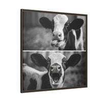 Whimsical Cow Photography | Black and White Animal Art
