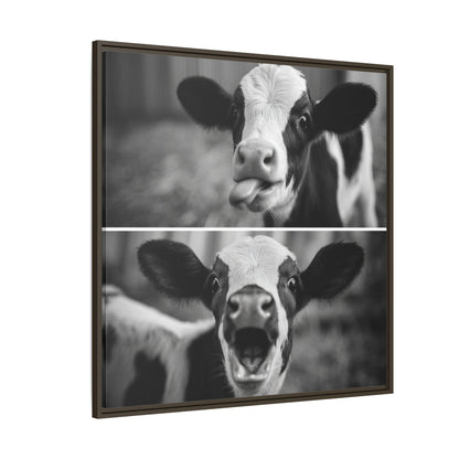 Whimsical Cow Photography | Black and White Animal Art