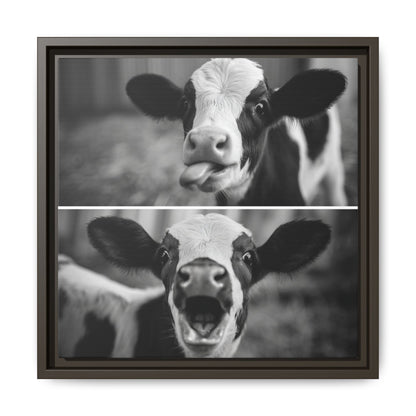 Whimsical Cow Photography | Black and White Animal Art