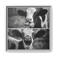 Whimsical Cow Photography | Black and White Animal Art