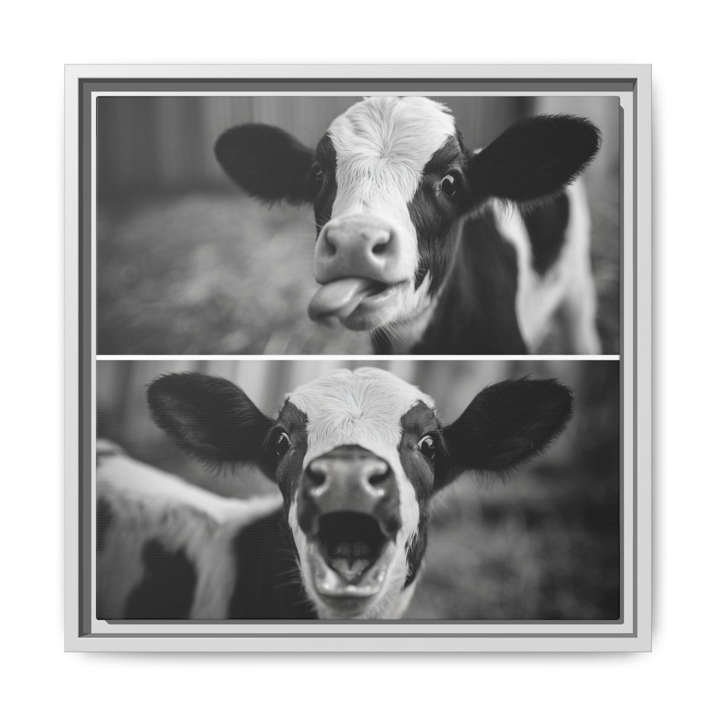 Whimsical Cow Photography | Black and White Animal Art