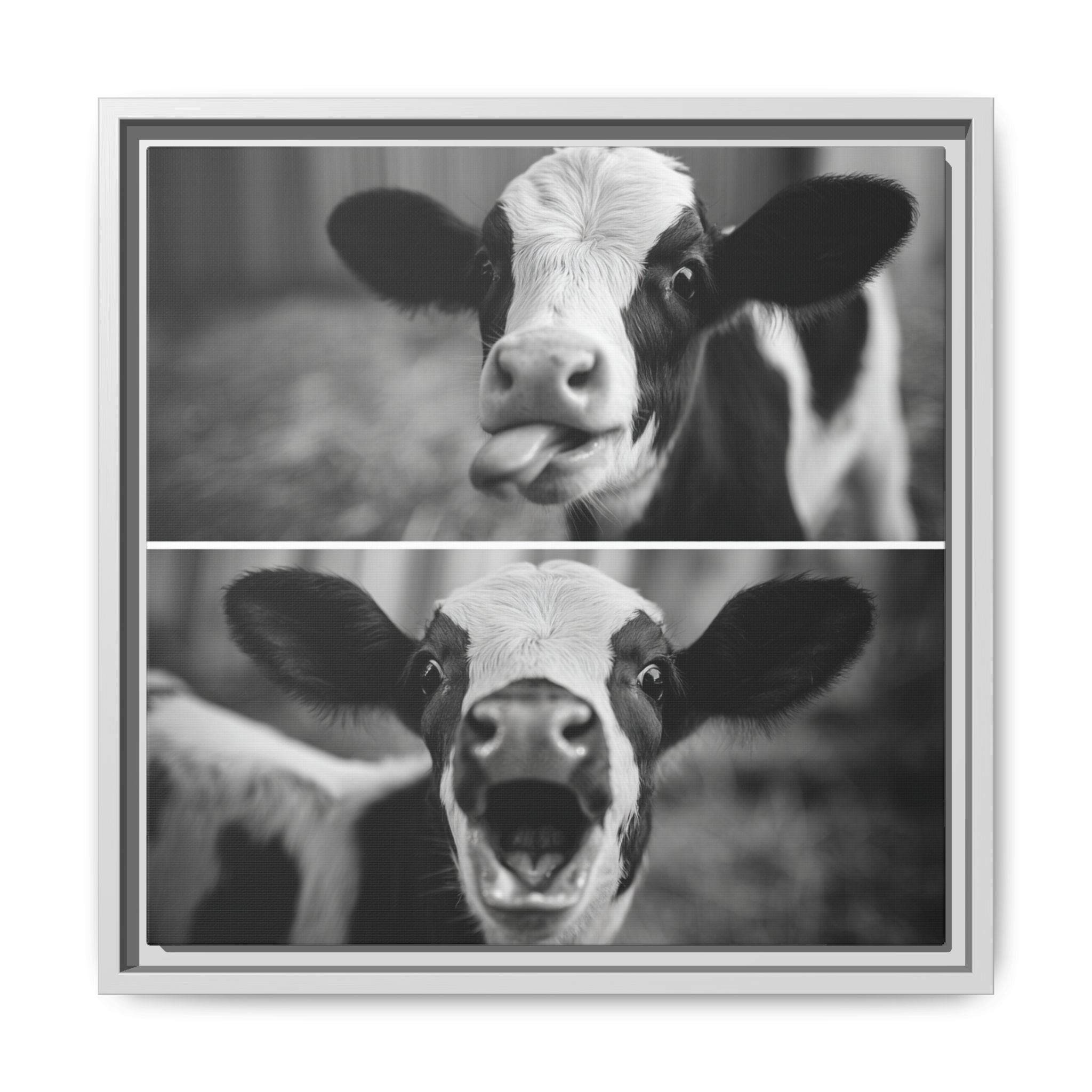 Whimsical Cow Photography | Black and White Animal Art