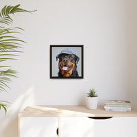 Whimsical Rottweiler Art - Denim Hat Dog Portrait