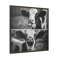 Whimsical Cow Photography | Black and White Animal Art