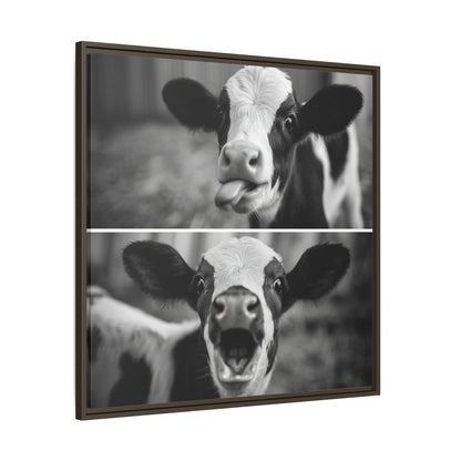 Whimsical Cow Photography | Black and White Animal Art