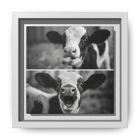 Whimsical Cow Photography | Black and White Animal Art