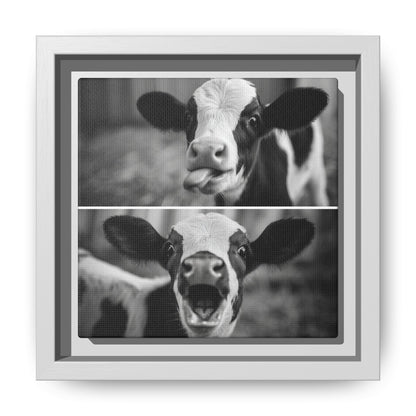 Whimsical Cow Photography | Black and White Animal Art