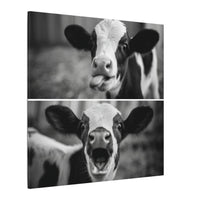 Whimsical Cow Photography | Black and White Animal Art
