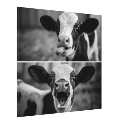 Whimsical Cow Photography | Black and White Animal Art