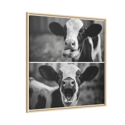 Whimsical Cow Photography | Black and White Animal Art