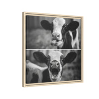 Whimsical Cow Photography | Black and White Animal Art