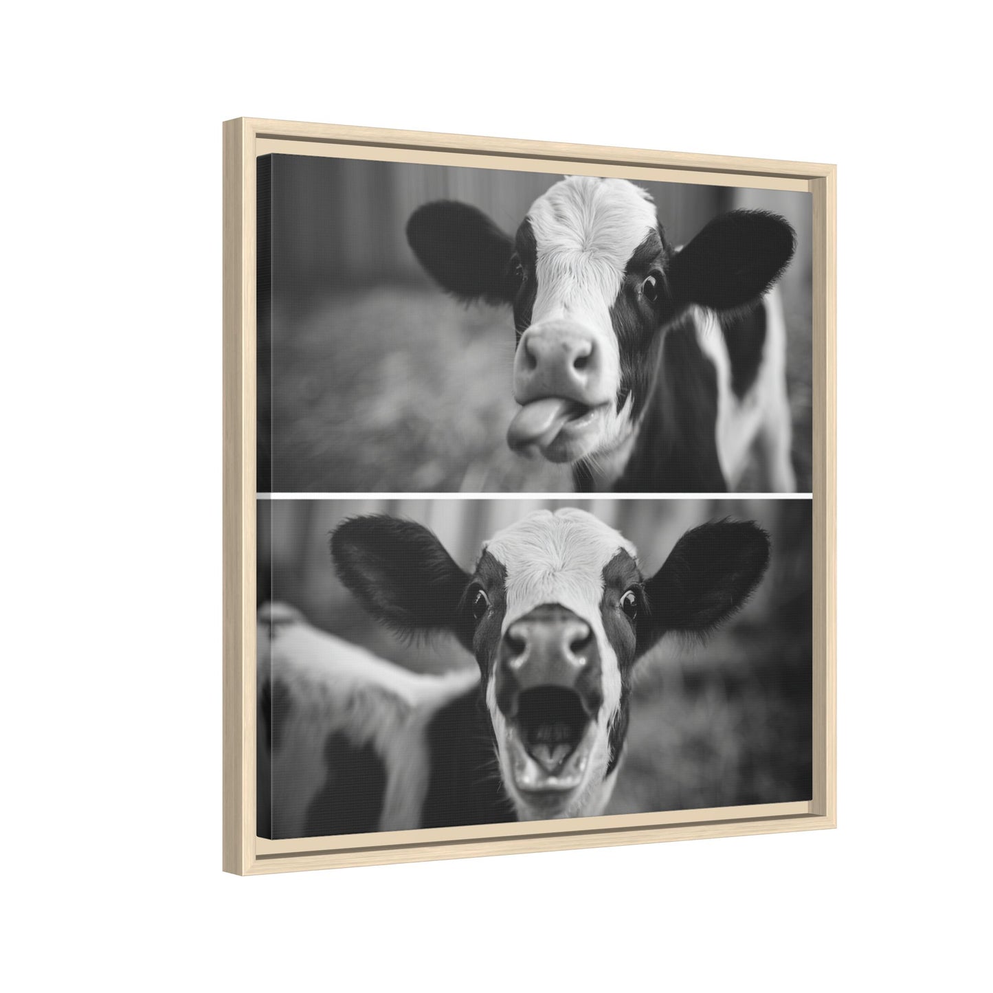 Whimsical Cow Photography | Black and White Animal Art
