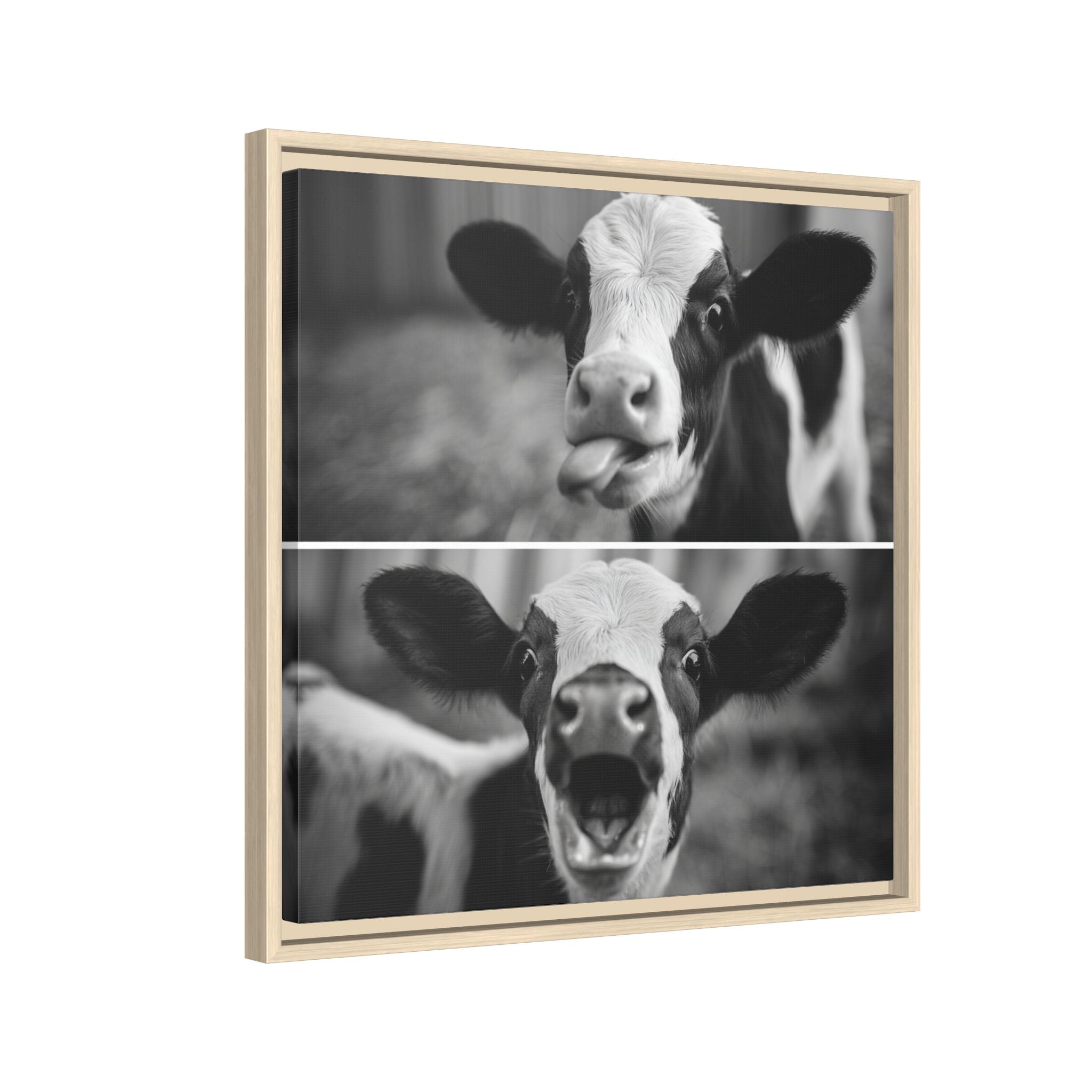 Whimsical Cow Photography | Black and White Animal Art