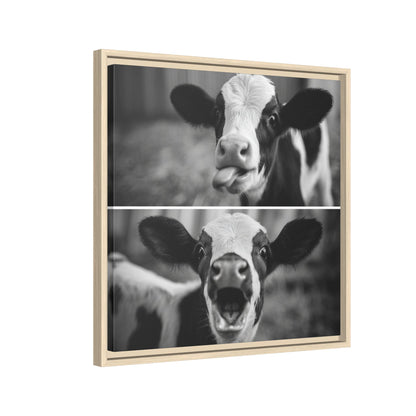 Whimsical Cow Photography | Black and White Animal Art