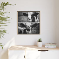 Whimsical Cow Photography | Black and White Animal Art