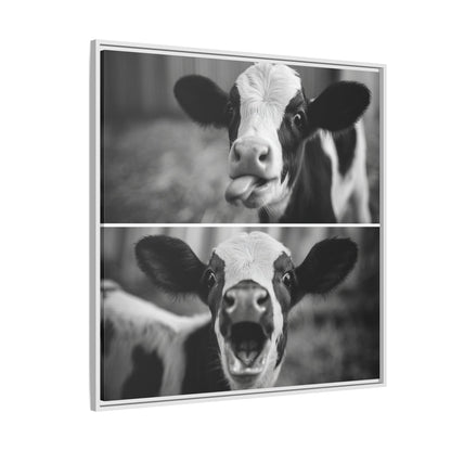 Whimsical Cow Photography | Black and White Animal Art
