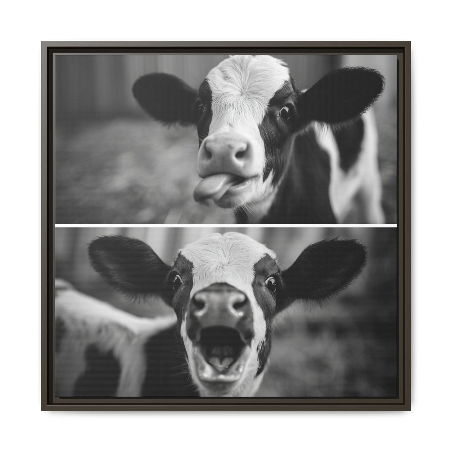 Whimsical Cow Photography | Black and White Animal Art