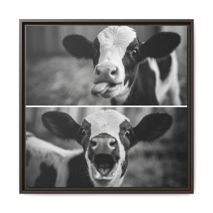 Whimsical Cow Photography | Black and White Animal Art