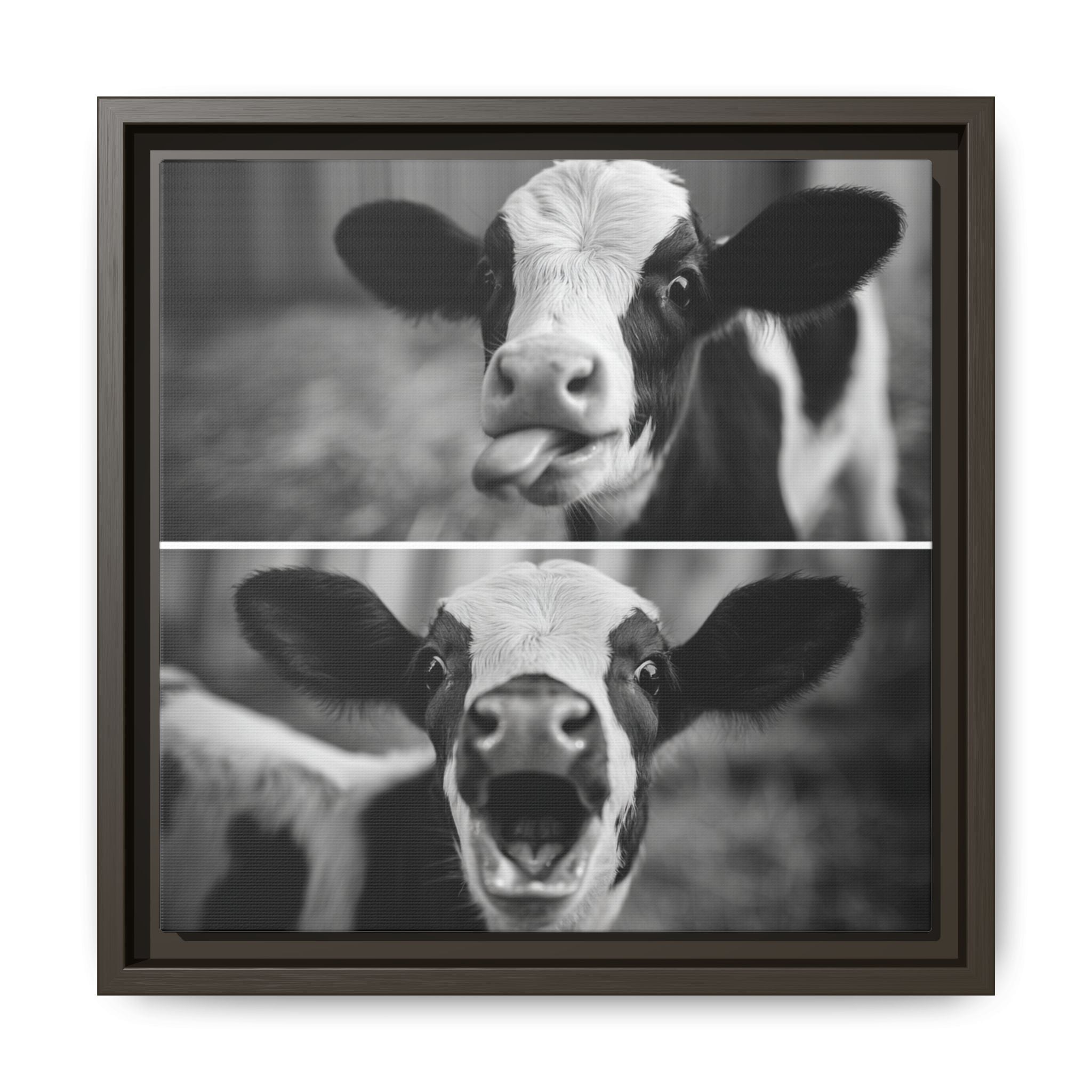 Whimsical Cow Photography | Black and White Animal Art