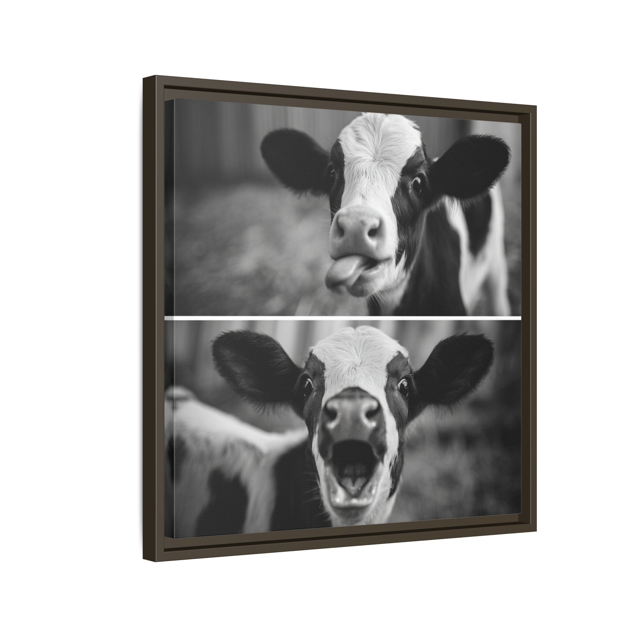 Whimsical Cow Photography | Black and White Animal Art