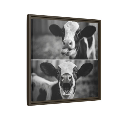 Whimsical Cow Photography | Black and White Animal Art