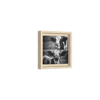 Whimsical Cow Photography | Black and White Animal Art