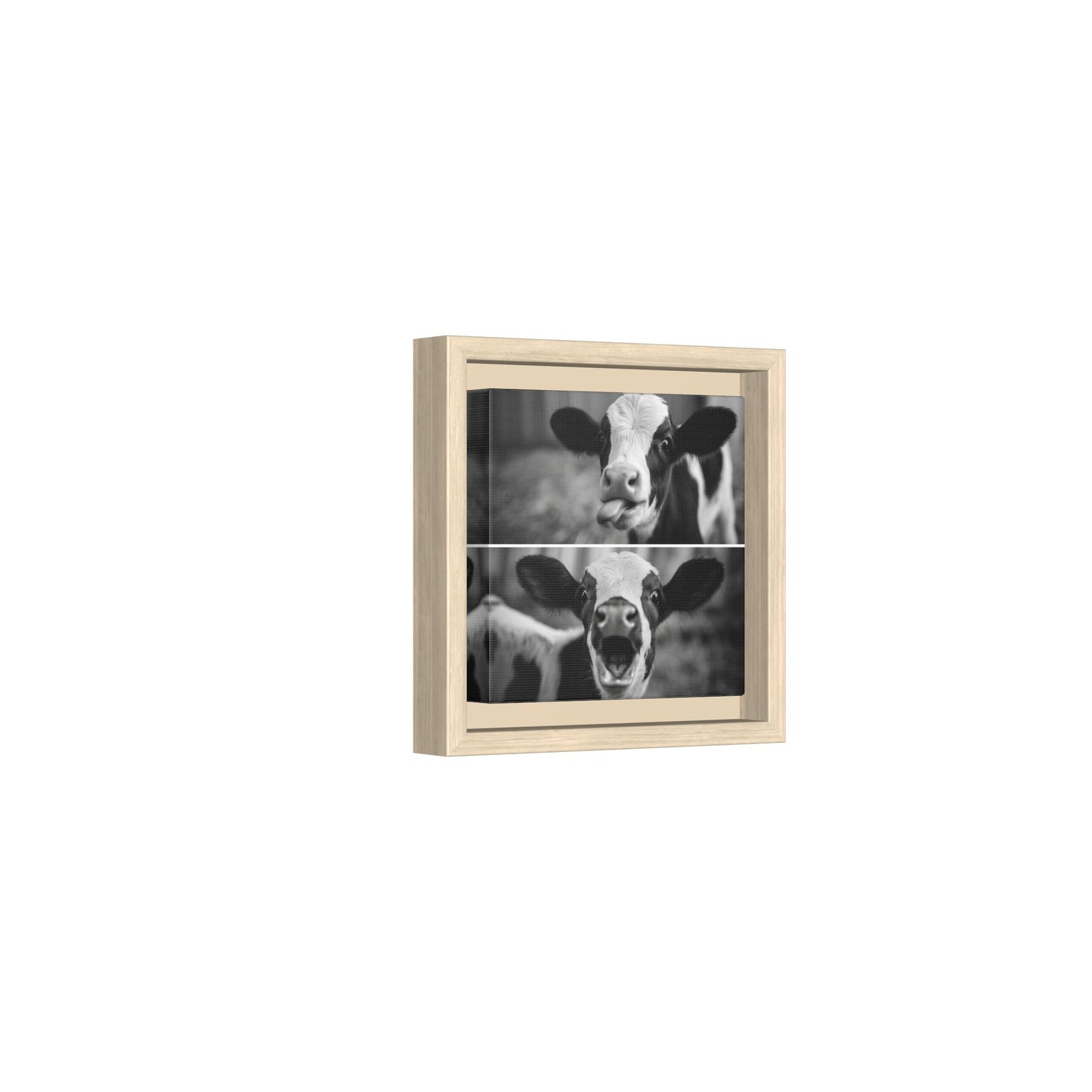 Whimsical Cow Photography | Black and White Animal Art